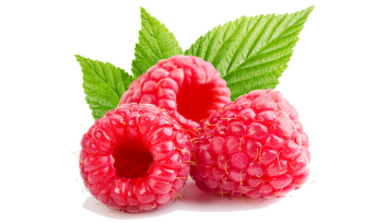 66fd1d5e3e743313c84f4903_Raspberry-PNG 1